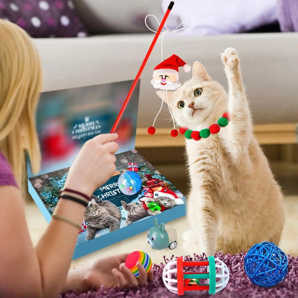 Meowy Christmas™ 24-Day Cat Advent Gift Box