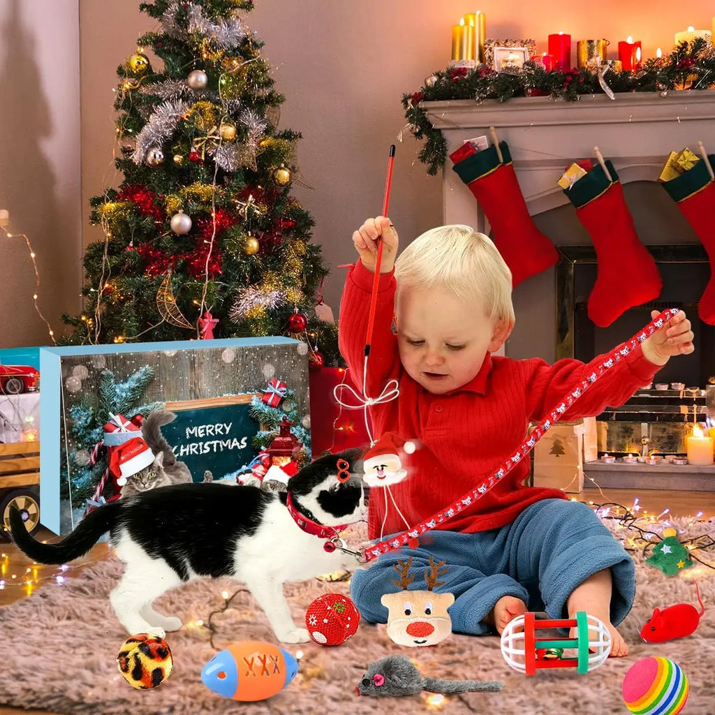 Meowy Christmas™ 24-Day Cat Advent Gift Box