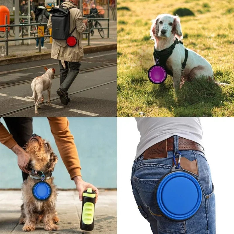 Pop & Pour Travel Bowl Bottle