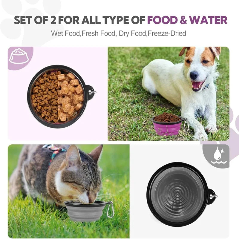 Pop & Pour Travel Bowl Bottle