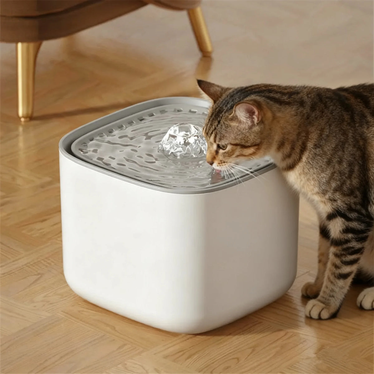 3L cat water fountain with filter