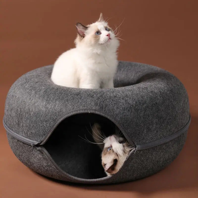 Cat sleeping in the felt cave