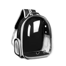 cat bag